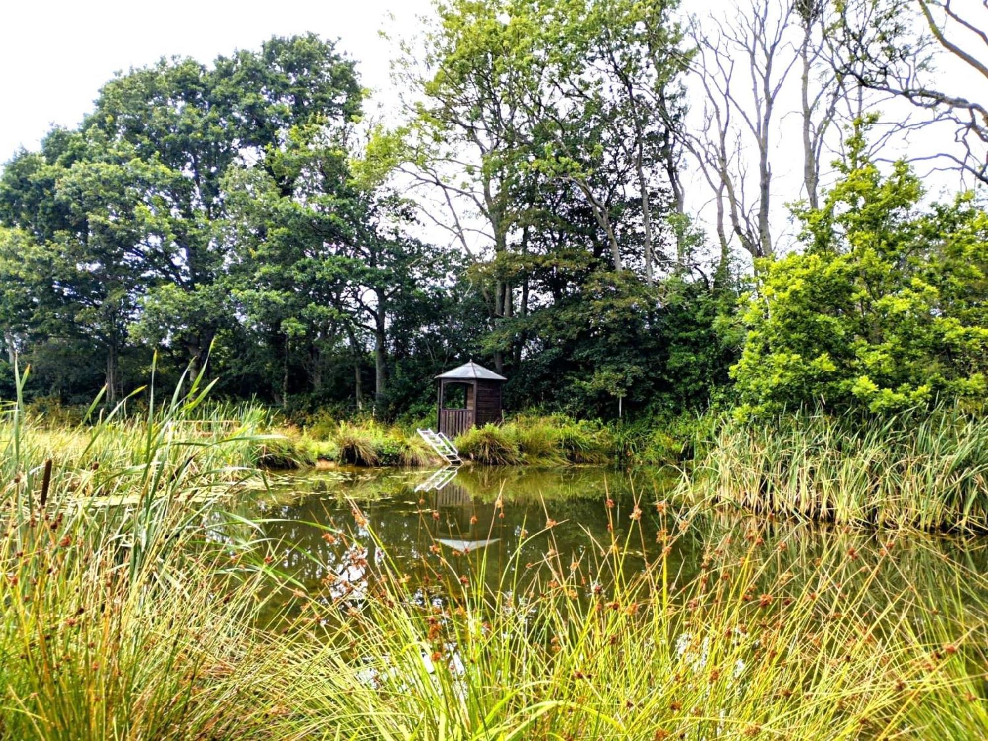 Snug & Secluded Lakeside Shepherds Hut 'Carp' يوكفيلد المظهر الخارجي الصورة