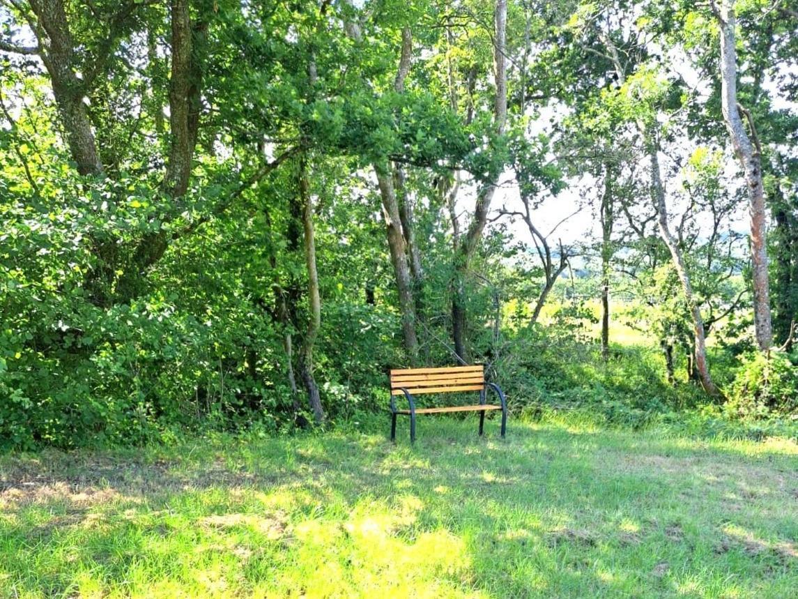 Snug & Secluded Lakeside Shepherds Hut 'Carp' يوكفيلد المظهر الخارجي الصورة