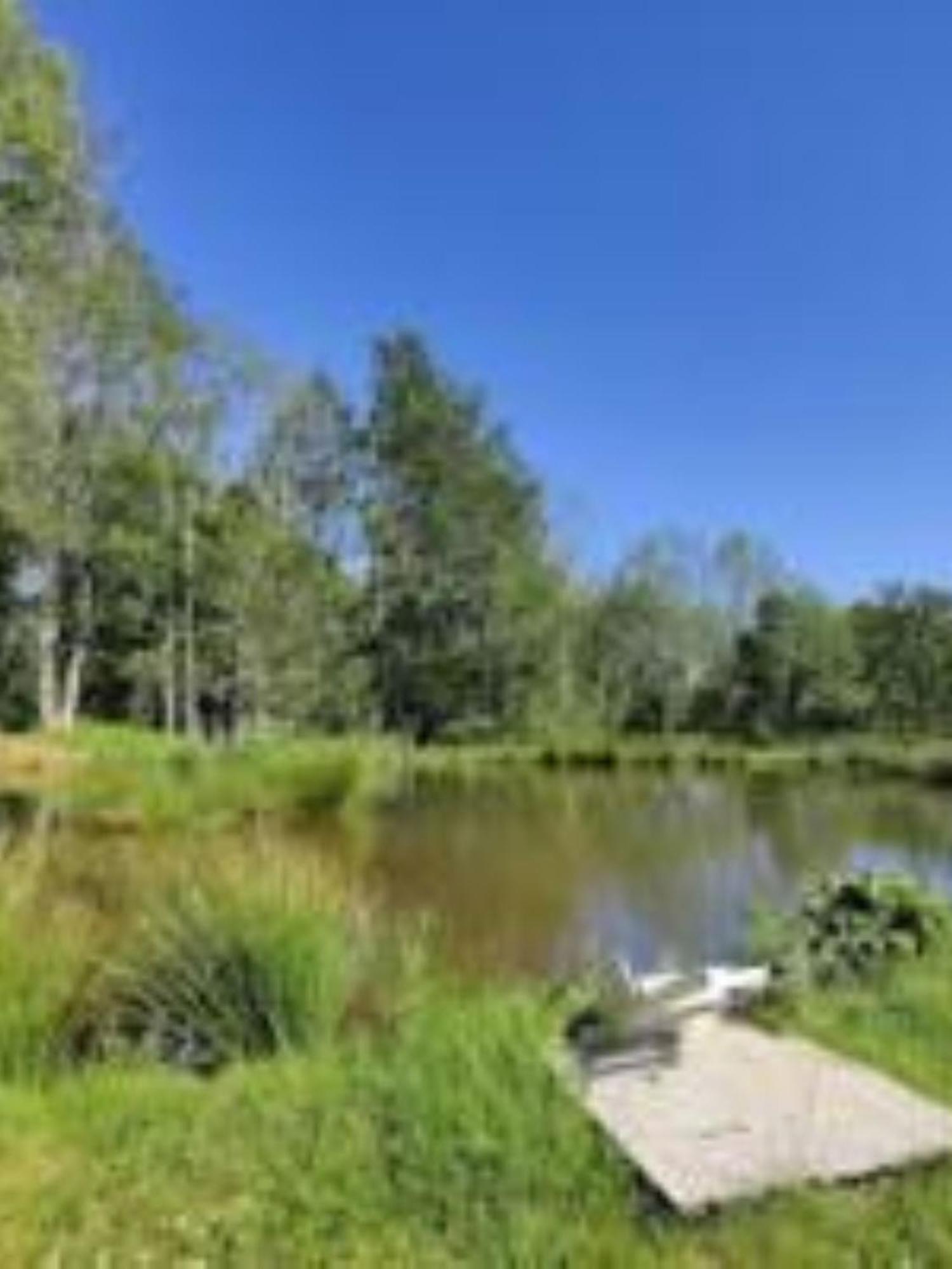 Snug & Secluded Lakeside Shepherds Hut 'Carp' يوكفيلد المظهر الخارجي الصورة